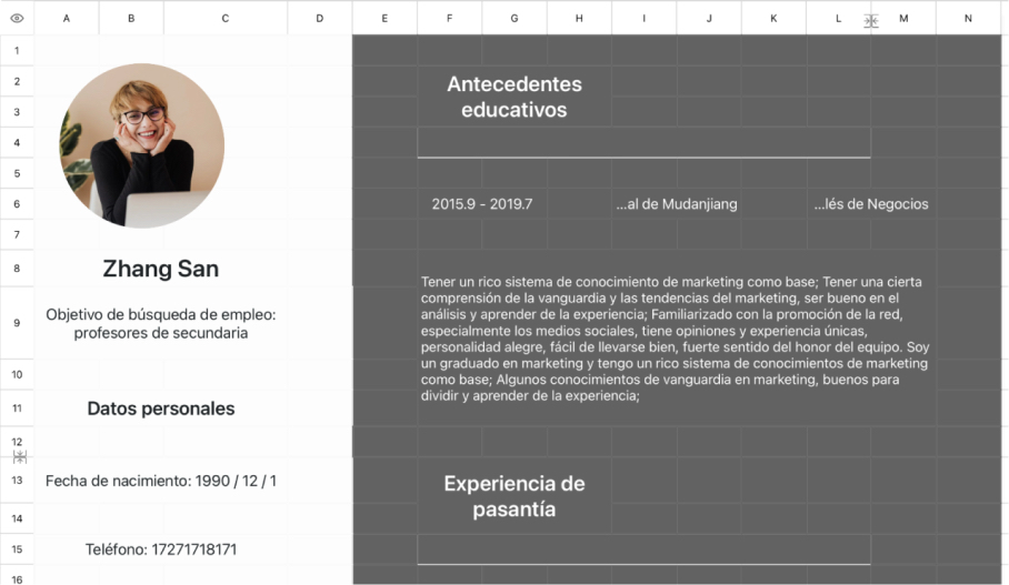 Currículum del Profesor 1